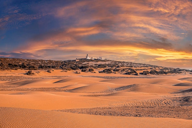 Vista panorámica de las dunas de arena con arbustos de plantas y edificios en el desierto contra el cielo espectacular