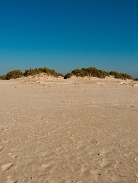 Foto vista panorámica de las dunas de arena contra un cielo azul claro