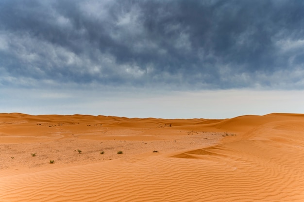 Vista panorámica de las dunas de arena o barchans del desierto en Kalmykia, Rusia