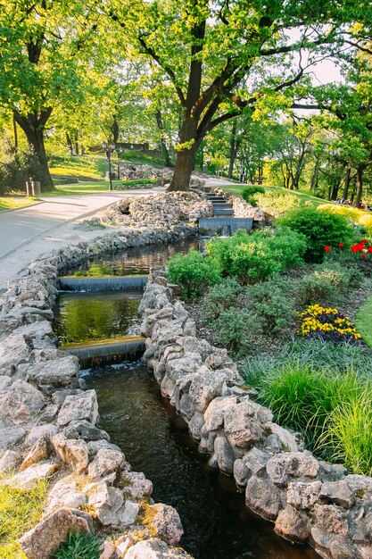 Vista panorâmica em um parque de primavera Flores em flor