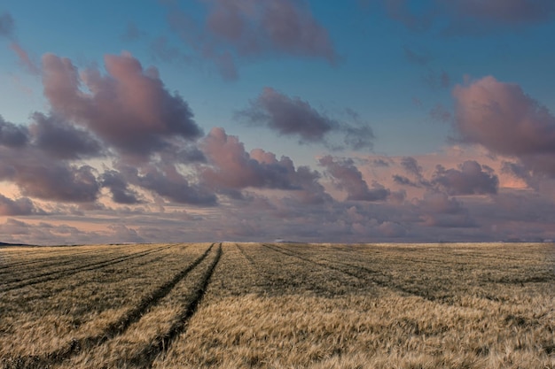 Vista panorámica esférica completa sin costuras de grados hdri ángulo entre los campos en la noche de primavera con