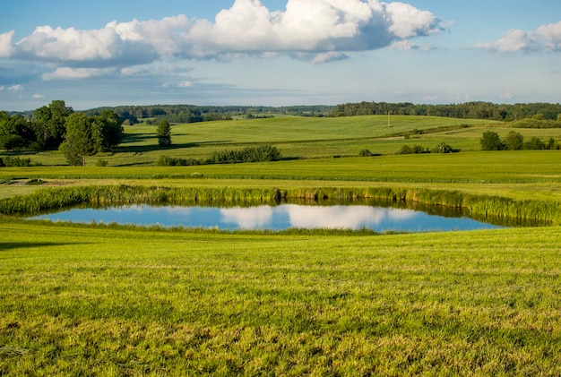 Vista panorámica del estanque en el campo cubierto de hierba contra el cielo