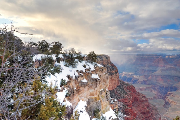 Vista panorámica del Gran Cañón en invierno con nieve