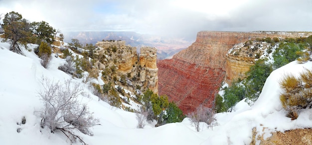 Vista panorámica del Gran Cañón en invierno con nieve