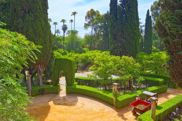 Vista panorámica del gran y hermoso jardín - Jardines del Real Alcázar de Sevilla. España.