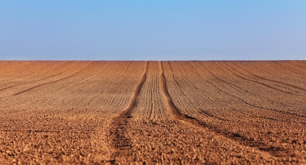 Foto vista panorámica de la granja contra el cielo despejado