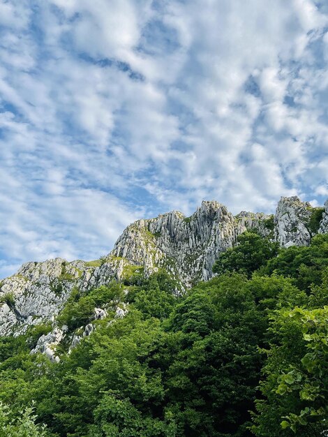 Vista panorámica de hermosas colinas verdes, montañas, bosques contra el cielo azul nublado. Costa de Eslovenia.