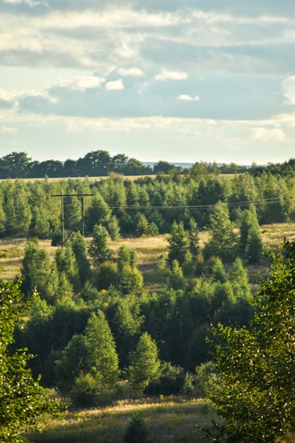 Vista panorámica del hermoso campo