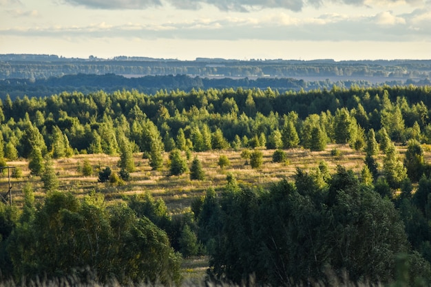 Vista panorámica del hermoso campo