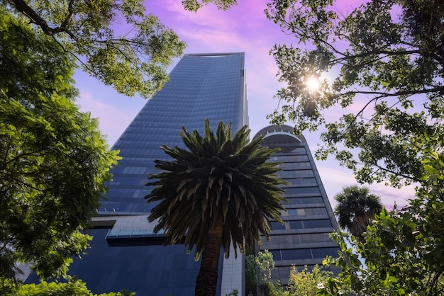 Vista panorámica del horizonte del centro financiero y de negocios de la Ciudad de México cerca del Paseo de Reforma