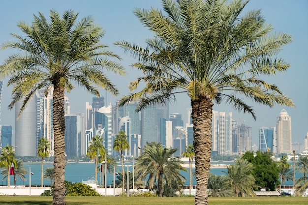 Vista panorámica del horizonte moderno de doha a través de palmeras borrosas qatar en día soleado