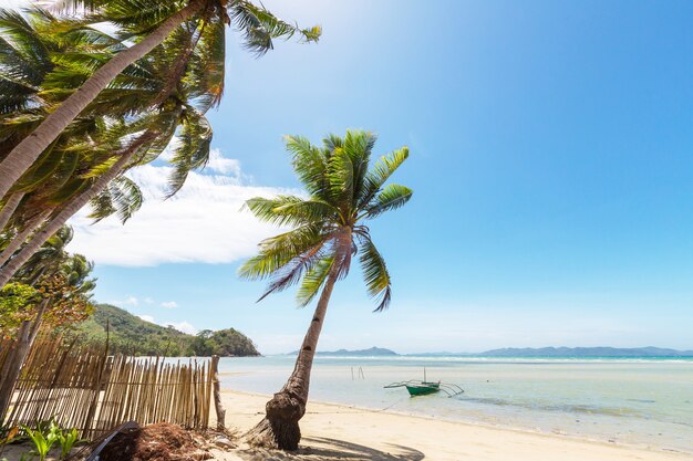 Vista panorâmica incrível da baía do mar e ilhas montanhosas, Palawan, Filipinas