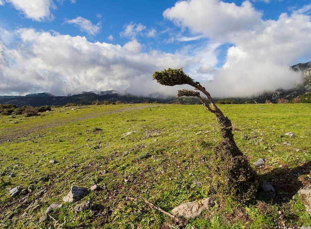 Vista panorámica de la isla griega de Evia con nubes en un día soleado desde el Monte Dirfys Grecia