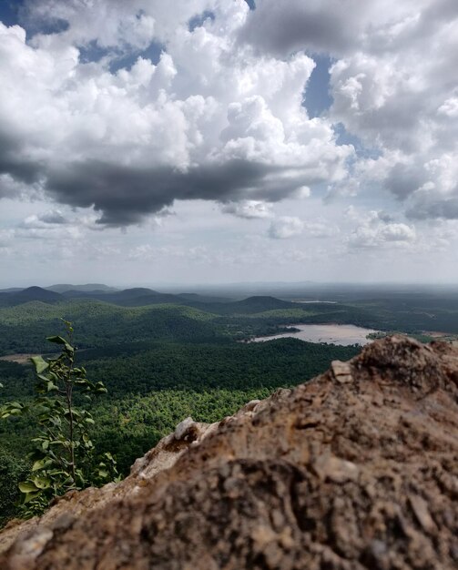 Vista panorámica de la jungla desde las alturas de la vista del águila del cielo