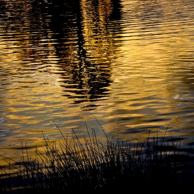 Foto vista panorámica del lago al atardecer