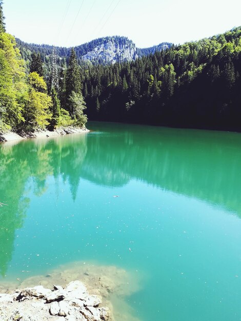 Foto vista panorámica del lago por los árboles contra el cielo azul