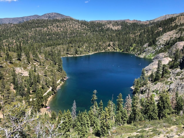 Foto vista panorámica del lago y los árboles contra el cielo azul