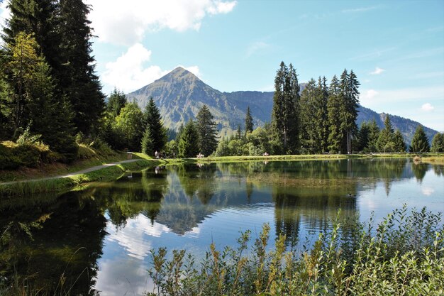 Foto vista panorámica del lago por los árboles contra el cielo