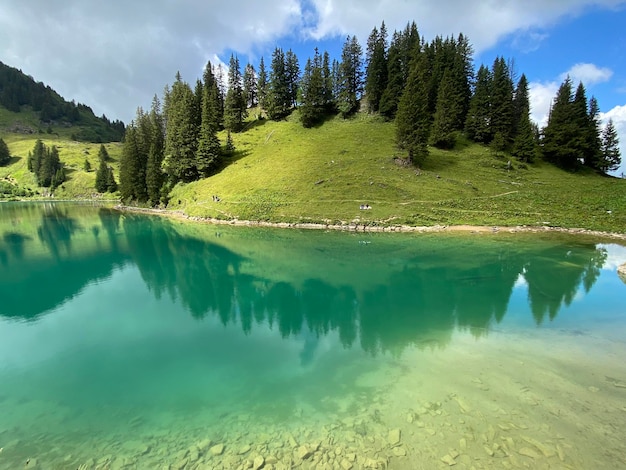 Foto vista panorámica del lago por los árboles contra el cielo