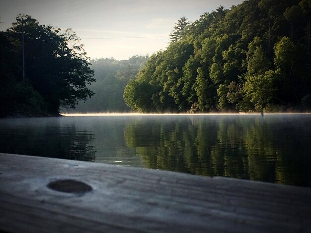 Foto vista panorámica del lago por los árboles contra el cielo