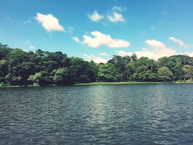 Vista panorámica del lago por los árboles contra el cielo