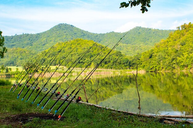 Foto vista panorámica del lago por los árboles contra el cielo