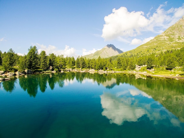 Vista panorámica del lago por los árboles contra el cielo