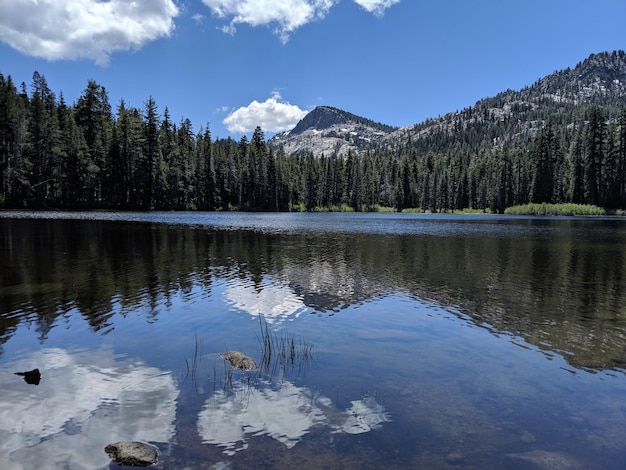 Vista panorámica del lago por los árboles contra el cielo