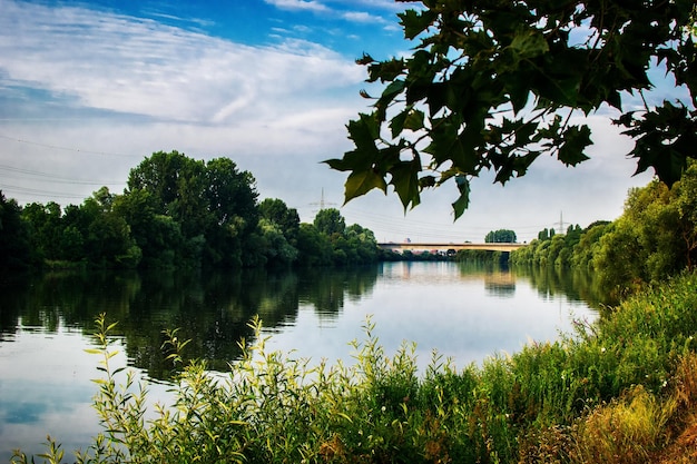 Vista panorámica del lago por los árboles contra el cielo