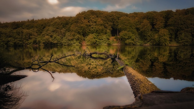 Vista panorámica del lago por los árboles contra el cielo