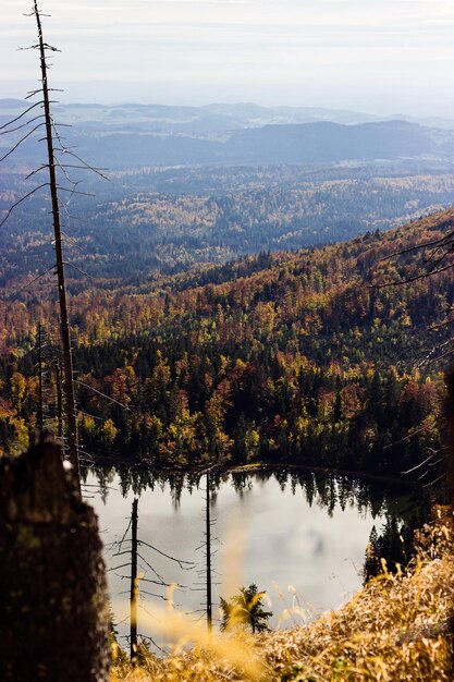 Foto vista panorámica del lago por los árboles contra el cielo