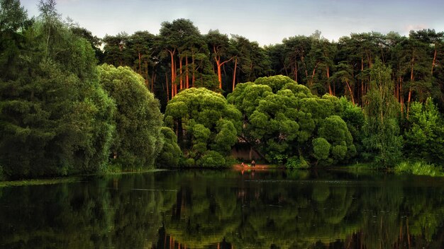 Foto vista panorámica del lago por los árboles contra el cielo