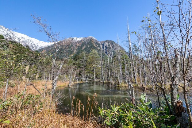 Foto vista panorámica del lago en el bosque contra el cielo