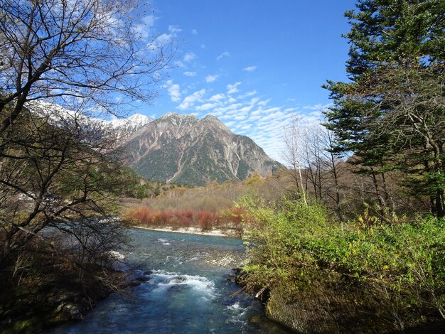 Foto vista panorámica del lago en el bosque contra el cielo