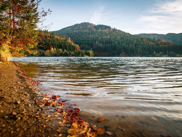 Foto vista panorámica del lago en el bosque contra el cielo