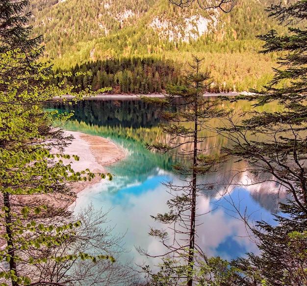 Vista panorámica del lago en el bosque contra el cielo