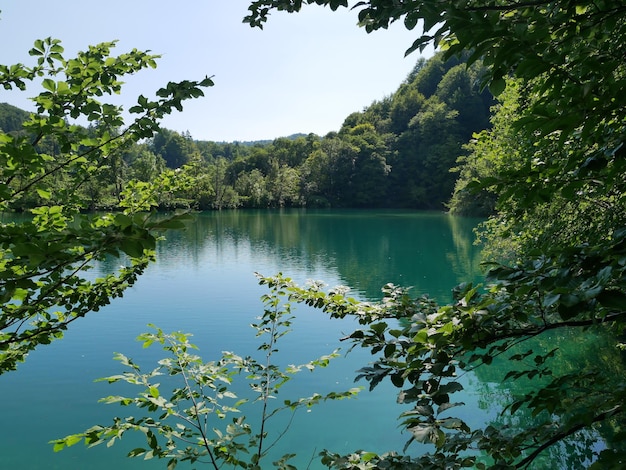 Foto vista panorámica del lago en el bosque contra el cielo