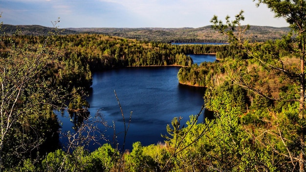 Vista panorámica del lago en el bosque contra el cielo