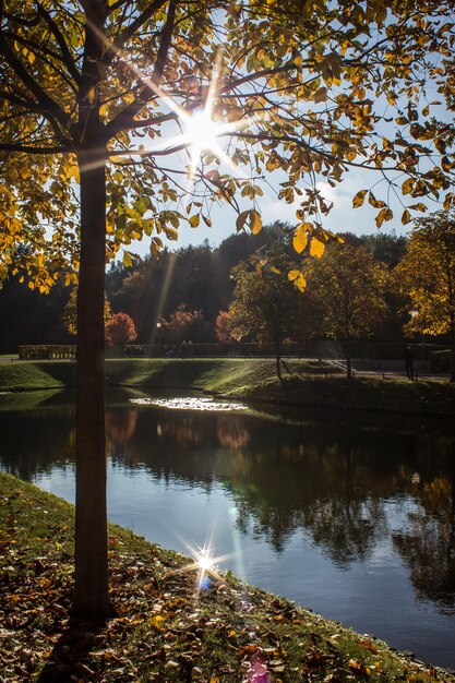 Foto vista panorámica del lago en el bosque durante el otoño