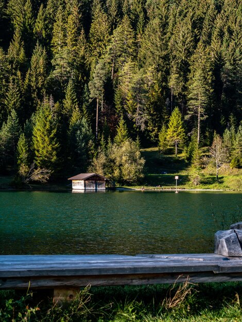 Foto vista panorámica del lago en el bosque