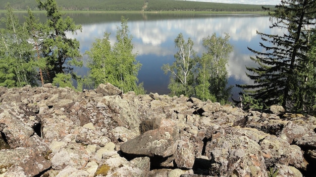 Foto vista panorámica del lago en el bosque