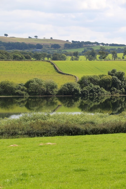 Foto vista panorámica del lago y el campo contra los árboles