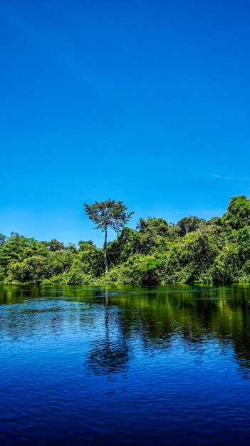 Vista panorámica del lago contra el cielo azul claro