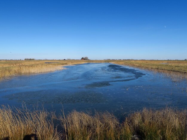 Vista panorámica del lago contra el cielo azul claro