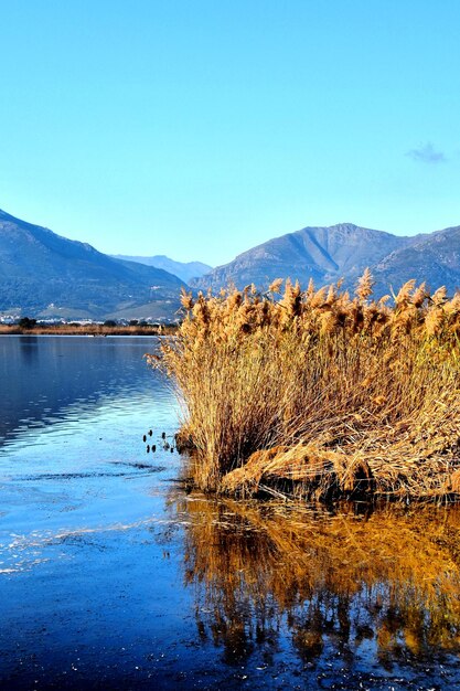 Foto vista panorámica del lago contra el cielo azul claro