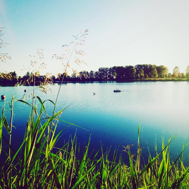 Foto vista panorámica del lago contra el cielo azul claro