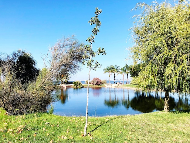 Vista panorámica del lago contra el cielo azul