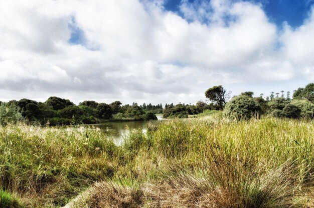 Vista panorámica del lago contra el cielo nublado