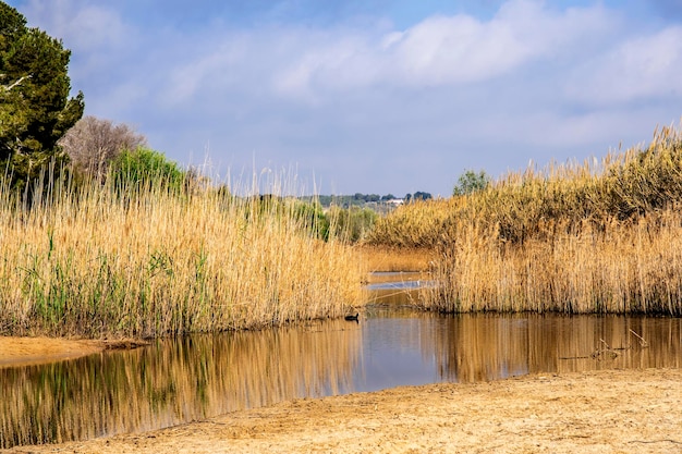 Vista panorámica del lago contra el cielo nublado