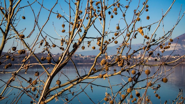 Vista panorámica del lago contra el cielo, Oggiono, Italia